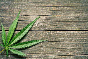Why Choose Cofer Luster if I’m Arrested for Marijuana Crimes?